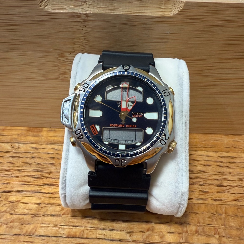 Citizen Diver's Watch with Black and Gold Accents